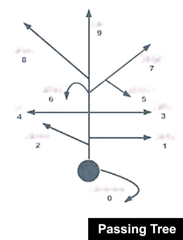 Football passing route tree v2.0 No mines. Quiz By big8dog88